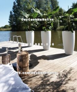 Chậu cây composite Havico Tory tròn sang trọng| CB-318