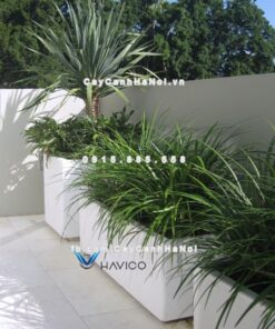 Chậu nhựa composite Havico Visio chữ nhật| C-319 4 Chậu nhựa composite Havico Visio chữ nhật| C-319