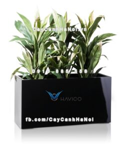 Chậu nhựa composite Havico Visio chữ nhật| C-319 3 Chậu nhựa composite Havico Visio chữ nhật| C-319