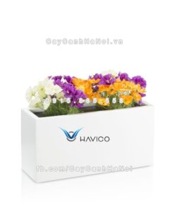 Chậu nhựa composite Havico Visio chữ nhật| C-319 2 Chậu nhựa composite Havico Visio chữ nhật| C-319