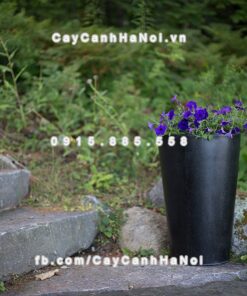 Chậu cây composite Havico Ciga đẳng cấp| HVC-00010