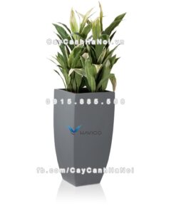 Chậu đá mài Balm Havico đẹp sang trọng| CM-251