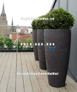 Chậu đá mài Gloss Havico cao cấp| CM-253