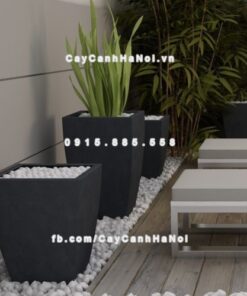 Chậu đá mài Mercy Havico cây cảnh vuông CM-262