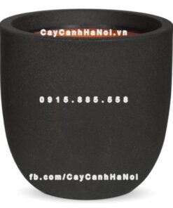 Chậu đá mài Sheer Havico sang trọng| CM-252 1 Chậu đá mài Sheer Havico sang trọng| CM-252