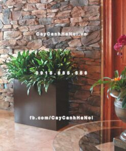 Chậu nhựa composite Havico Hely sang trọng| CB-334