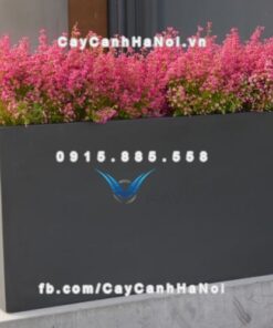 Chậu nhựa composite Havico Hely sang trọng| CB-334