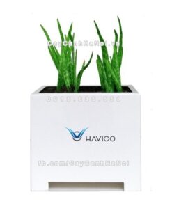 Chậu nhựa composite Havico Cube vuông| HVC-00013 1 Chậu nhựa composite Havico Cube vuông| HVC-00013