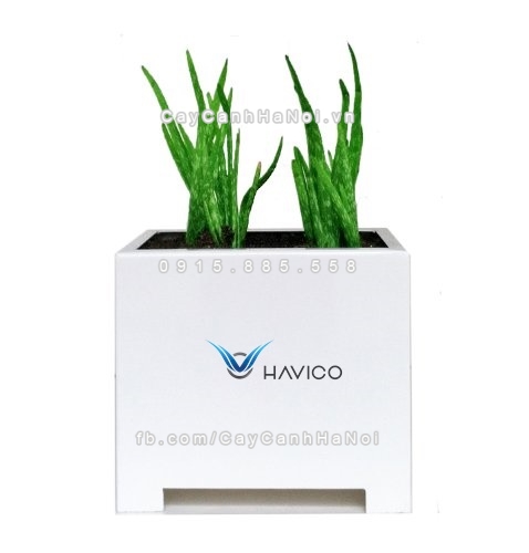 Chậu nhựa composite Havico Cube vuông| HVC-00013