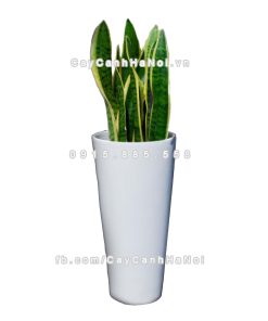 Chậu nhựa trồng cây composite Havico| HVC-00012