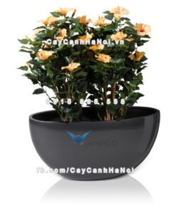 Chậu cây composite Havico Balco tròn| HVC-00002