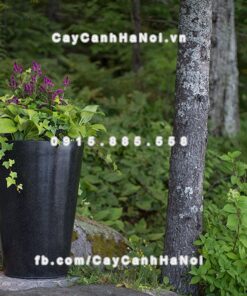 Chậu composite Havico Ciga đẹp| HVC-00009