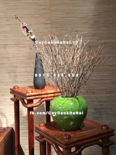 hoa do quyen kho ngu dong 1