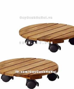 Đế chậu cây có bánh xe 3 Đế chậu cây có Bánh xe