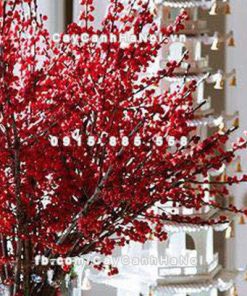 Cành hoa Đào Đông chơi Tết 1 Cành hoa Đào Đông chơi Tết