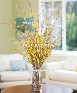 Cành hoa Mai Mỹ chơi Tết 1 Cành hoa Mai Mỹ chơi Tết