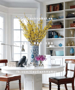 Cành hoa Mai Mỹ chơi Tết 7 Cành hoa Mai Mỹ chơi Tết