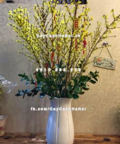 Cành hoa Mai Mỹ chơi Tết 4 Cành hoa Mai Mỹ chơi Tết