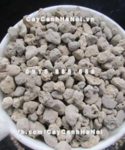 Đá bọt Pumice 3 Đá bọt Pumice