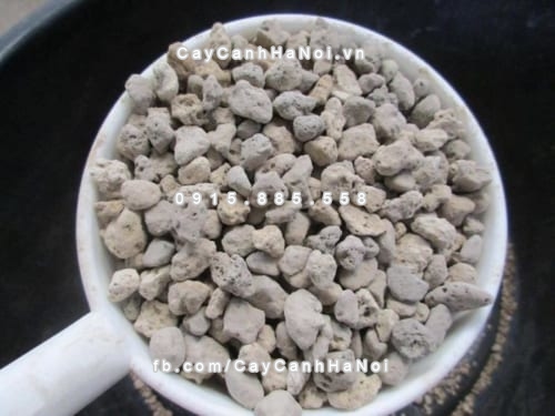 Đá bọt Pumice 7 da bot pumice 3