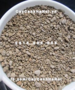 Đá bọt Pumice 2 Đá bọt Pumice
