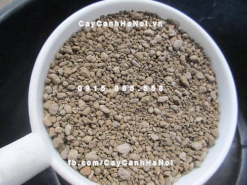 Đá bọt Pumice 6 da bot pumice 4
