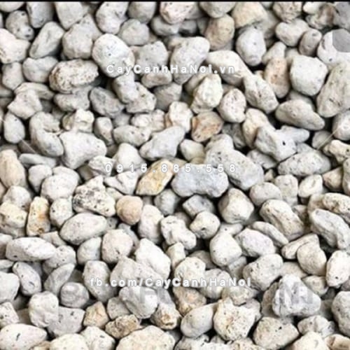 Đá bọt Pumice 5 da bot pumice 5
