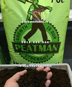 Giá thể Peat Moss Peatman