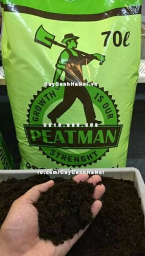 gia the peat moss peatman 2