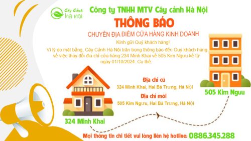 Thông báo chuyen địa điểm cửa hàng kinh doanh cây cảnh