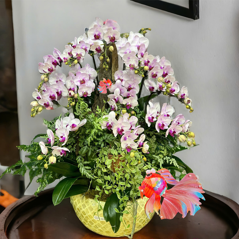 Khai trương tặng cây gì thu hút tài lộc, may mắn và ý nghĩa 8 avt hoa tang khai truong