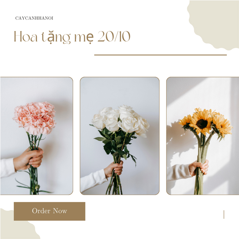 Gợi Ý +9 Mẫu Hoa 20/10 Tặng Mẹ Đầy Ý Nghĩa Nhất Năm 2025 11 avt hoa tang me