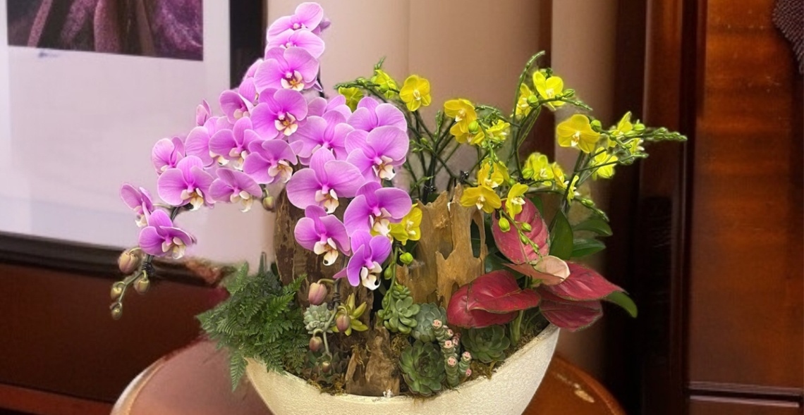 Gợi Ý 99 + Mẫu Lan Hồ Điệp Tặng Khai Trương đẹp, độc đáo 1 Gửi tặng chậu lan Hồ Điệp khai trương như một lời chúc tốt lành đầy ý nghĩa