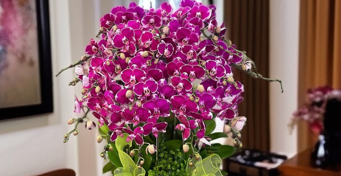 Gợi Ý 99 + Mẫu Lan Hồ Điệp Tặng Khai Trương đẹp, độc đáo 3 Những cành hoa thanh mảnh, vươn cao nhẹ nhàng nhưng tràn đầy sức sống, thể hiện sự tươi mới và nhiệt huyết