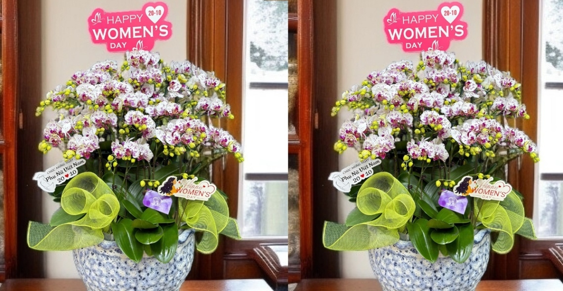 Gợi Ý +9 Mẫu Hoa 20/10 Tặng Mẹ Đầy Ý Nghĩa Nhất Năm 2025 3 Hoa lan với sức sống mãnh liệt, mang ý nghĩa lời chúc sức khỏe và sắc đẹp cho mẹ thân yêu