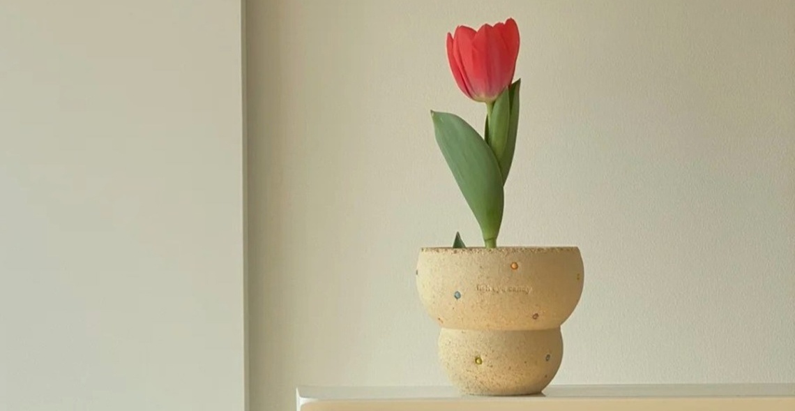 Gợi Ý +9 Mẫu Hoa 20/10 Tặng Mẹ Đầy Ý Nghĩa Nhất Năm 2025 4 Hoa Tulip mang vẻ đẹp của sự thanh tao, rất thích hợp để làm quà tặng mẹ 20/10