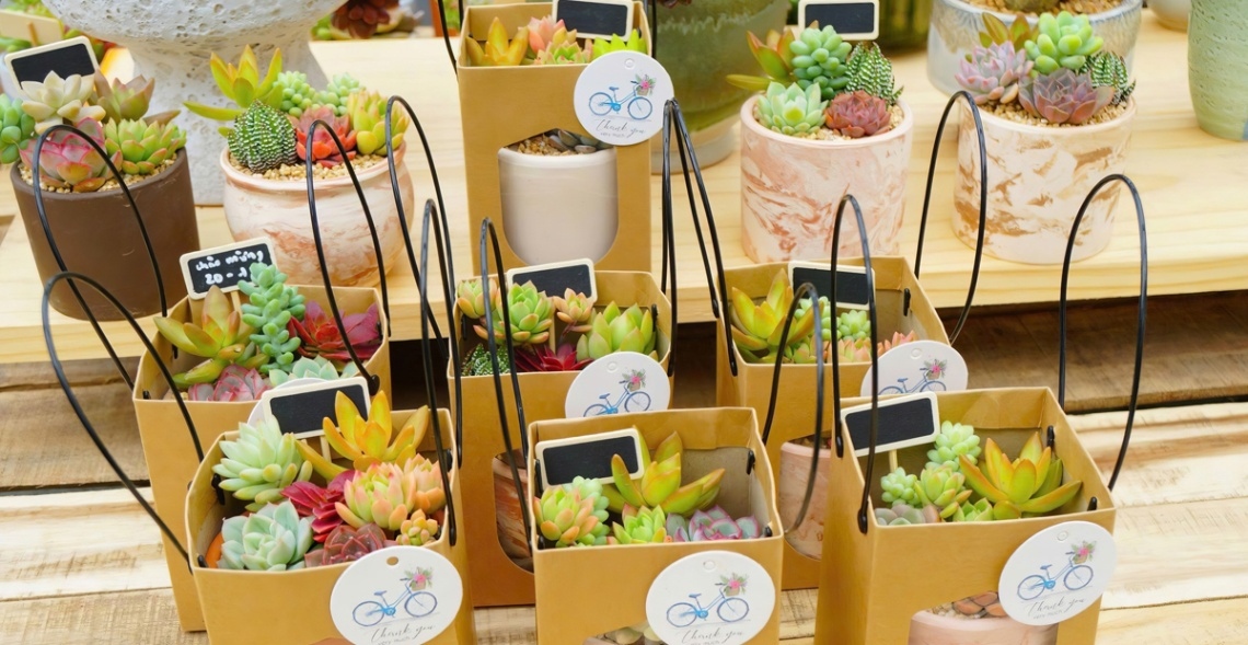 Top 10 Mẫu Hoa 20/10 Tặng Người Yêu Được Săn Đón 1 Những bông hoa đẹp khoe sắc là món quà tinh thần đầy ý nghĩa và tinh tế