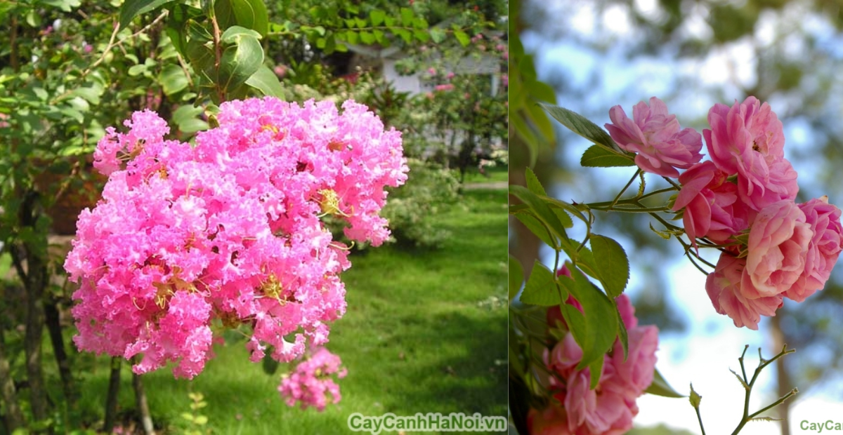 Thiet ke chua co ten 1