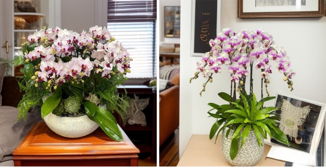 Sắc trắng chủ đạo mang một vẻ đẹp dịu dàng, tinh tế kết hợp đường nét chấm phá phần nhụy tím tạo nên một sự hài hòa hoàn hảo