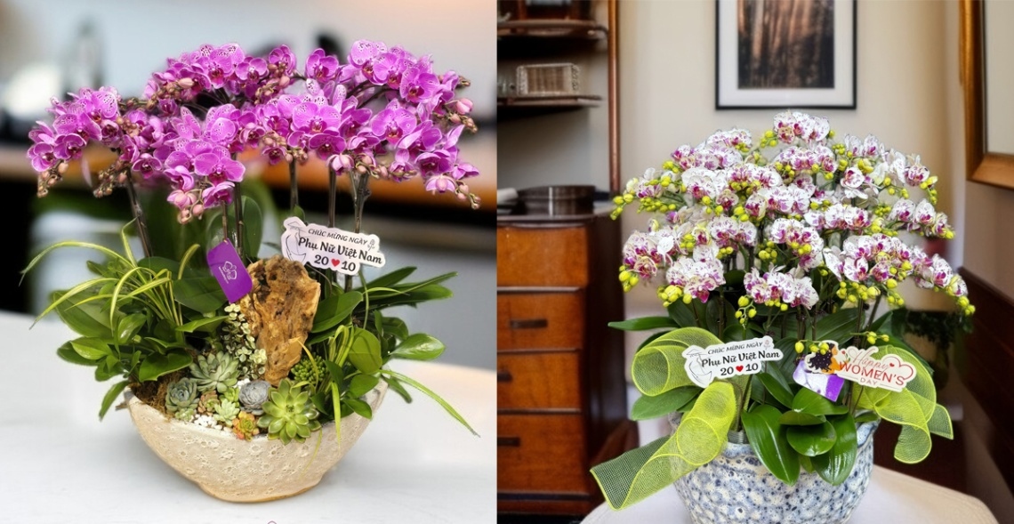 Hoa 20/10 tặng mẹ có thể làm tinh thần của người nhận tốt hơn, mang đến niềm vui và hạnh phúc cả ngày