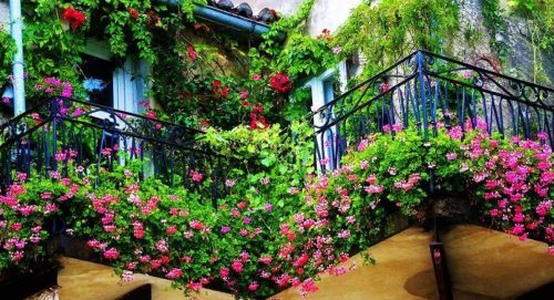 Chọn hoa tuỳ thuộc vào không gian thiết kế